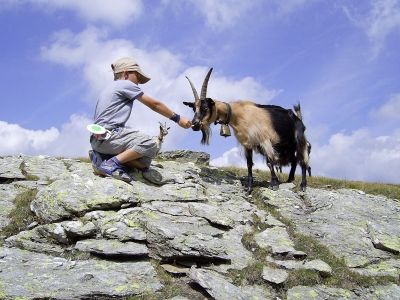 In montagna